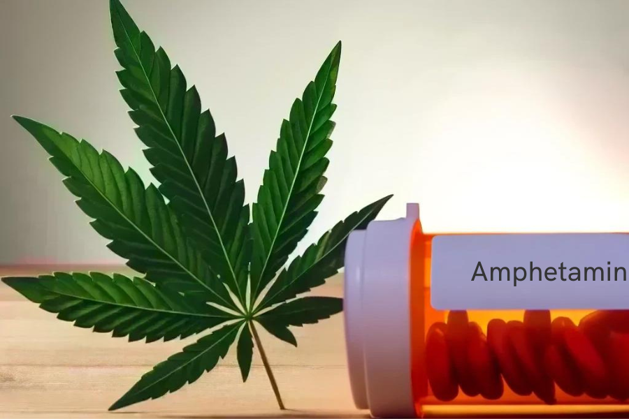 Cannabis e anfetamine (ad esempio Adderall, Adderall XR)