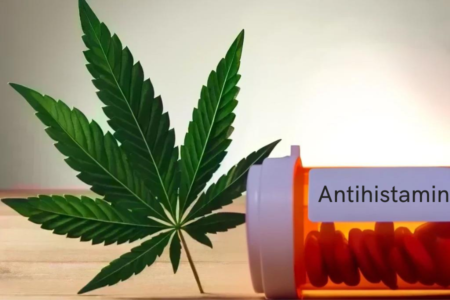 Cannabis e antistaminici (ad es. Claritin, Lorano, Zyrtec, Cetirizina)