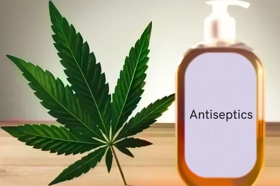 Cannabis e antisettici (ad es. Hibiclens, Peride, Chlorhexamed, Corsodyl)