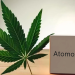 an image showing the interaction between cannabis and atomoxetines