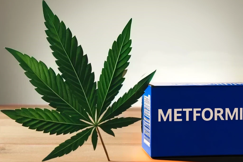 Cannabis e metformina (ad es. Glucophage, Metformin ratiopharm, Metformax)