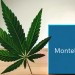 an image showing the interaction between cannabis and montelukast