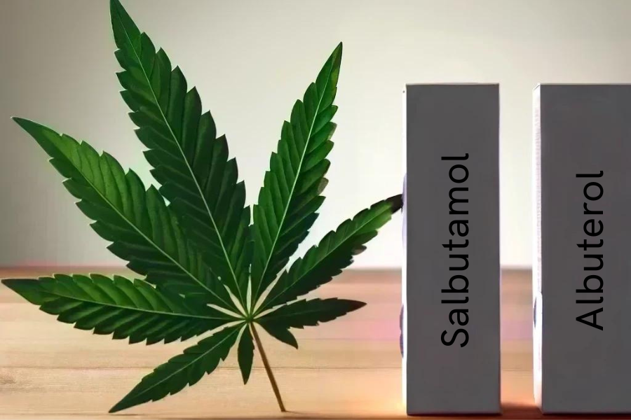 Cannabis e salbutamolo/albuterolo (ad es. Ventolin, ProAir, Ventolin, SalbuHEXAL, Sultanol)