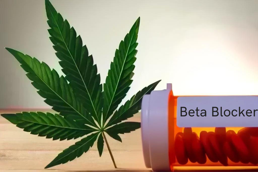 Cannabis e beta-bloccanti (ad es. Concor, Bisoprolol, Atenolol, Tenormin)