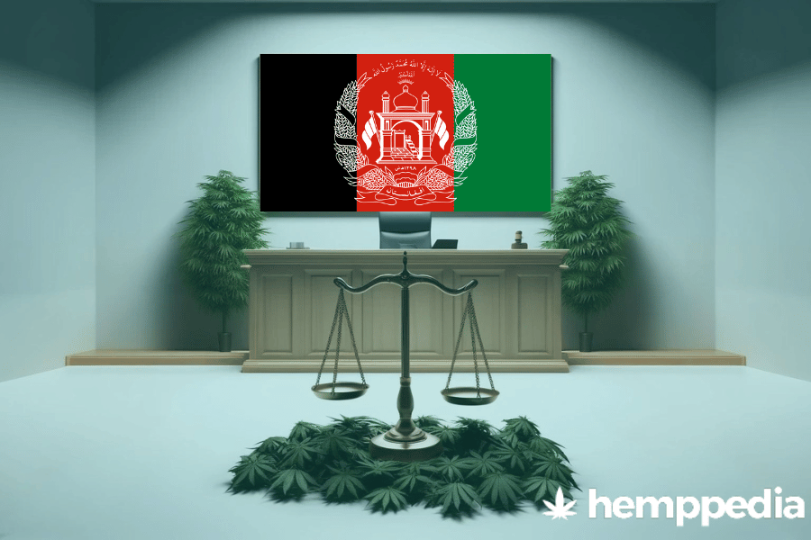 La cannabis è legale in Afghanistan? – Update 2024