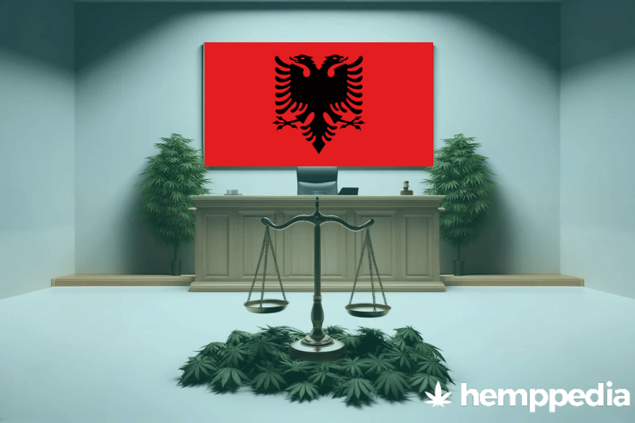 La cannabis è legale in Albania? – Update 2024