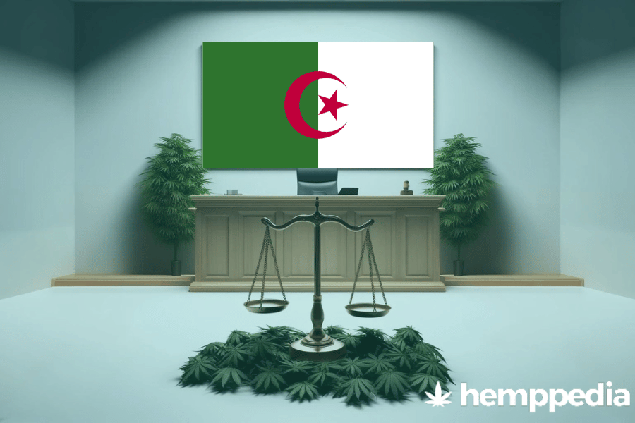 La cannabis è legale in Algeria? – Update 2024