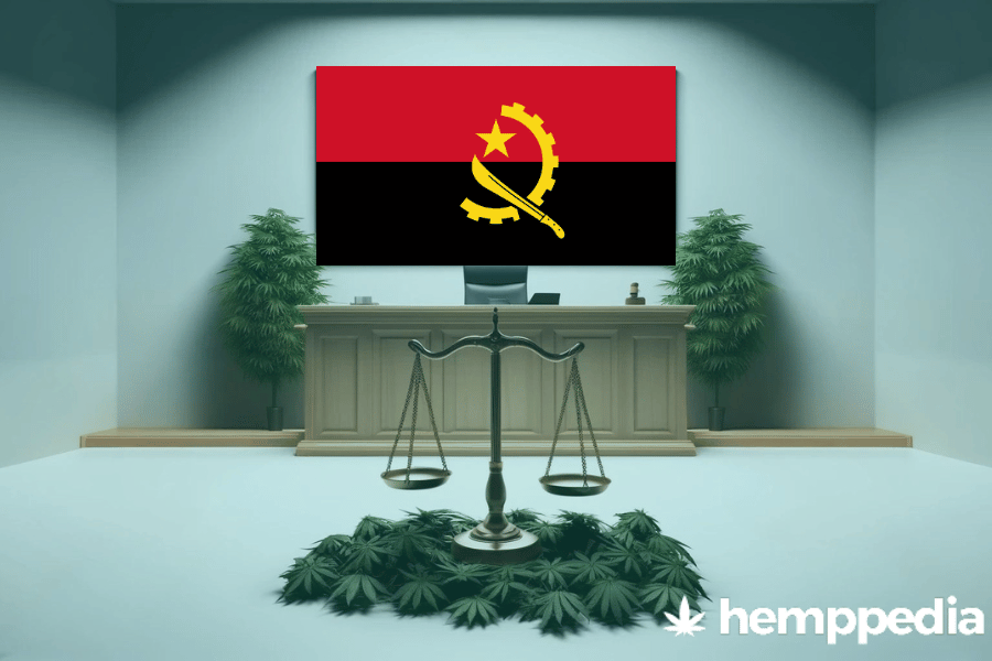 La cannabis è legale in Angola? – Update 2024