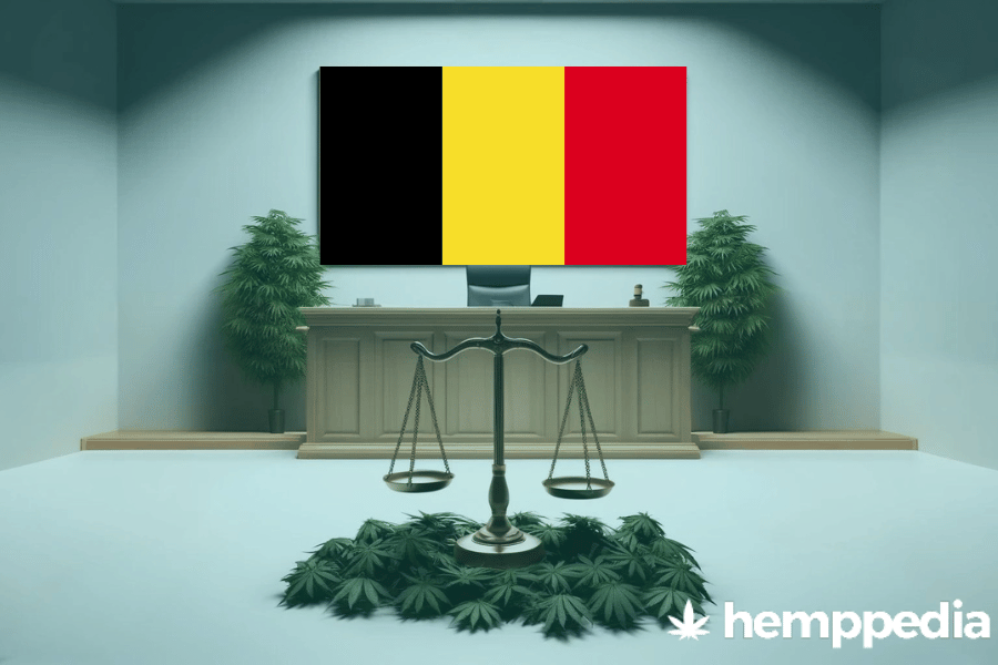 La cannabis è legale in Belgio? – Update 2024