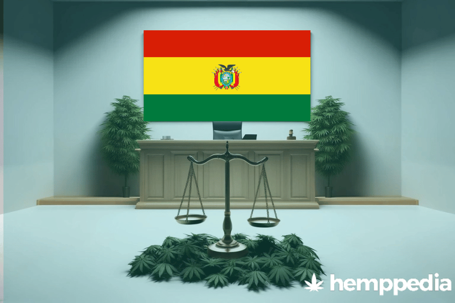 La cannabis è legale in Bolivia? – Update 2024