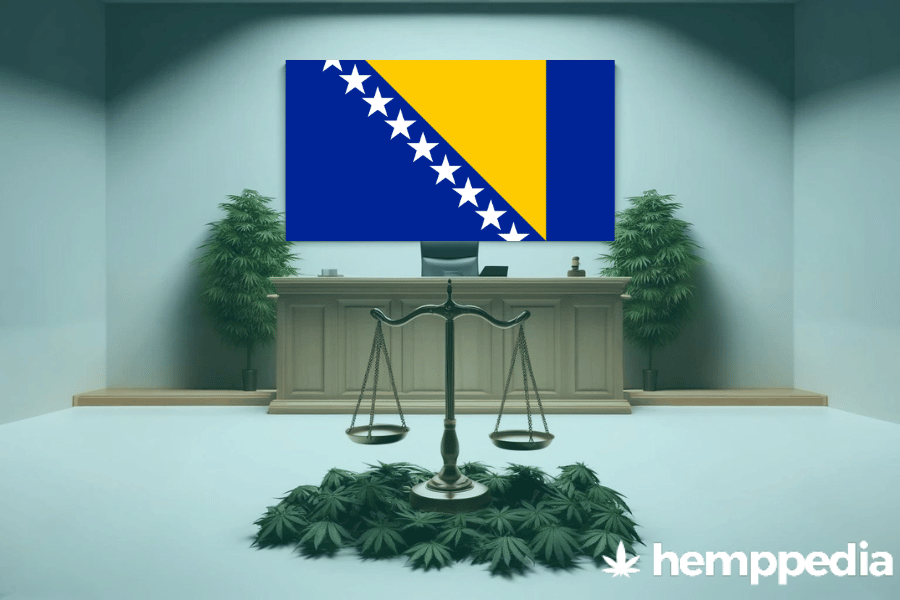 La cannabis è legale in Bosnia ed Erzegovina? – Update 2024