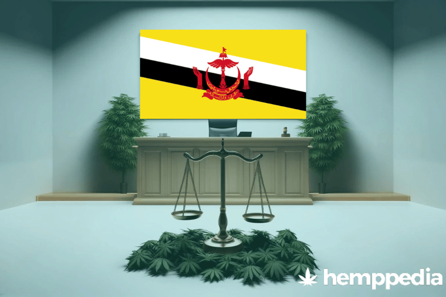 La cannabis è legale in Brunei? – Update 2024