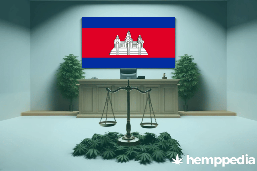 La cannabis è legale in Cambogia? – Update 2024