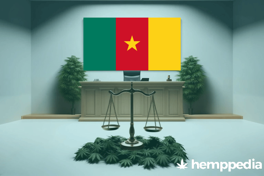 La cannabis è legale in Camerun? – Update 2024