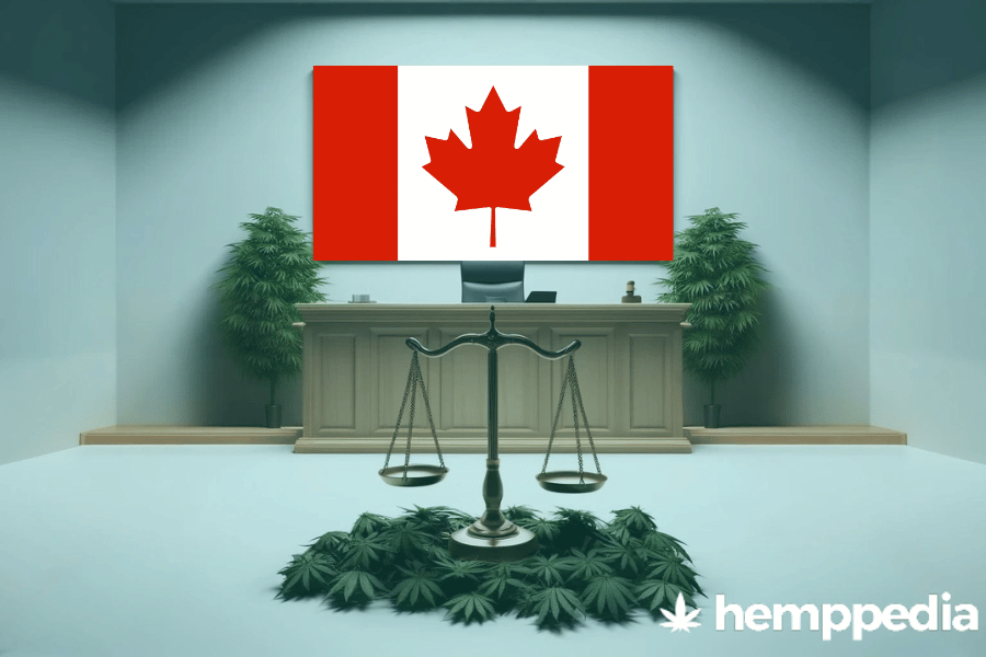 La cannabis è legale in Canada? – Update 2024