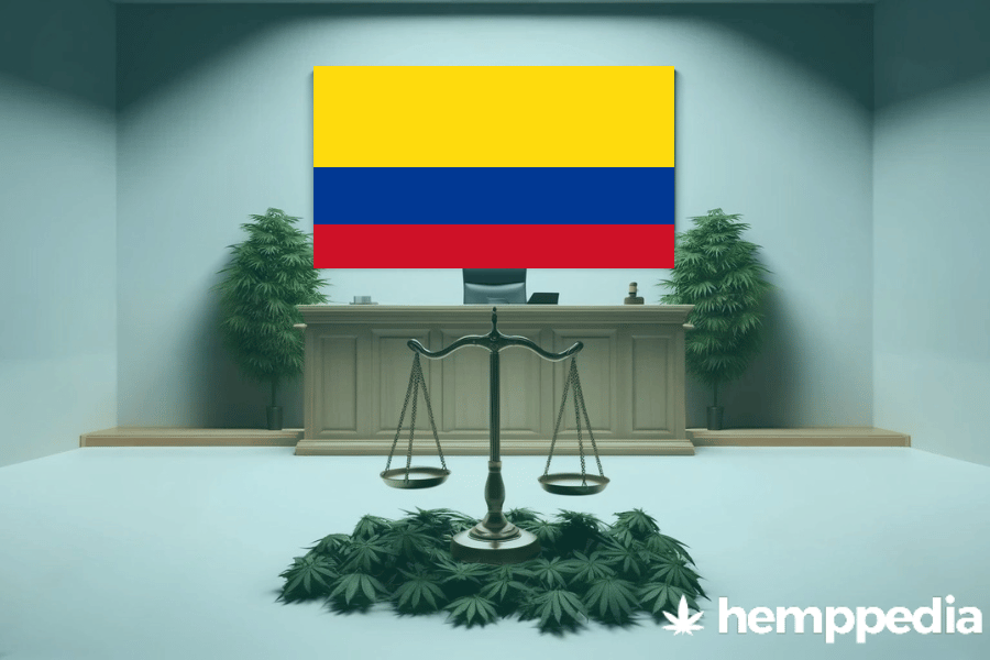 La cannabis è legale in Colombia? – Update 2024