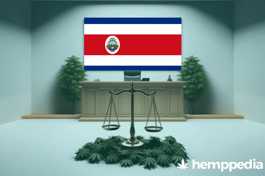 La cannabis è legale in Costa Rica? – Update 2024