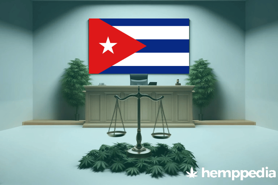 La cannabis è legale a Cuba? – Update 2024