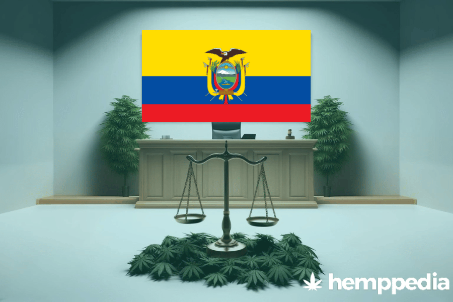 La cannabis è legale in Ecuador? – Update 2024