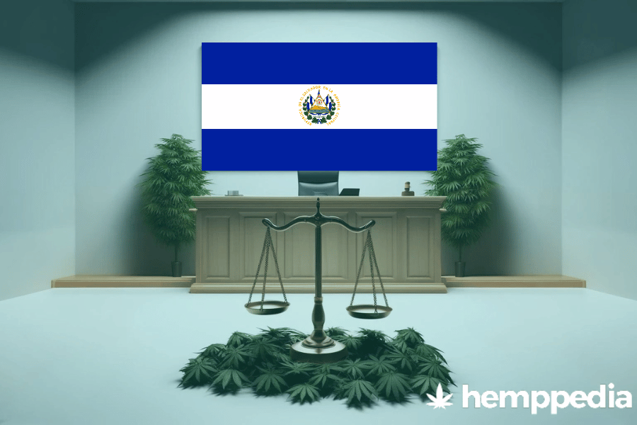 La cannabis è legale in El Salvador? – Update 2024