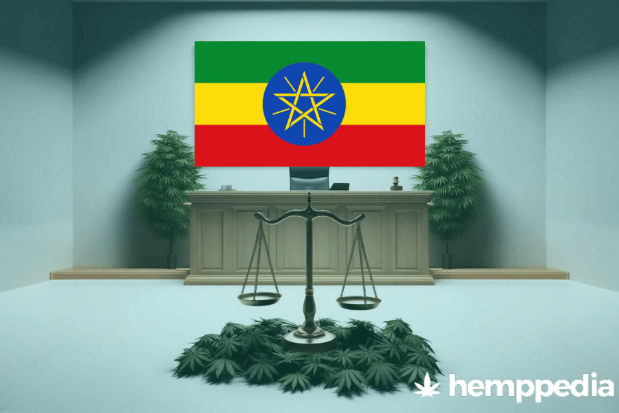 La cannabis è legale in Etiopia? – Update 2024