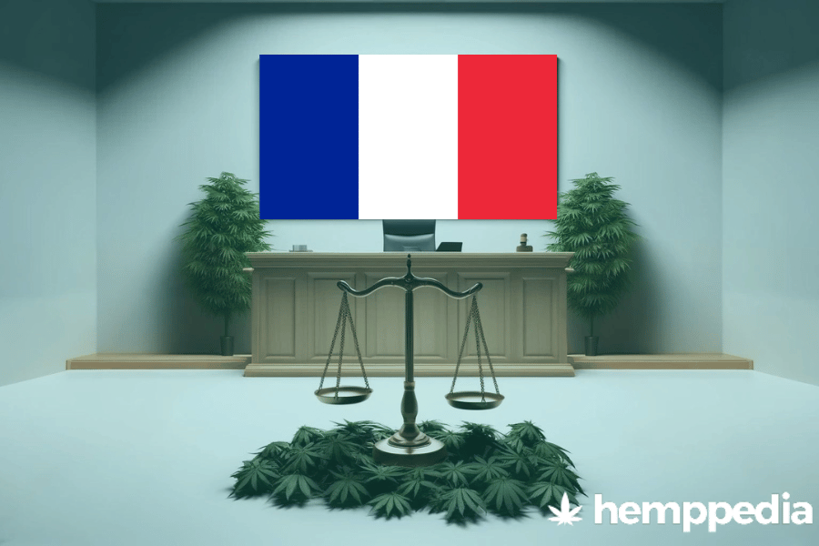 La cannabis è legale in Francia? – Update 2024