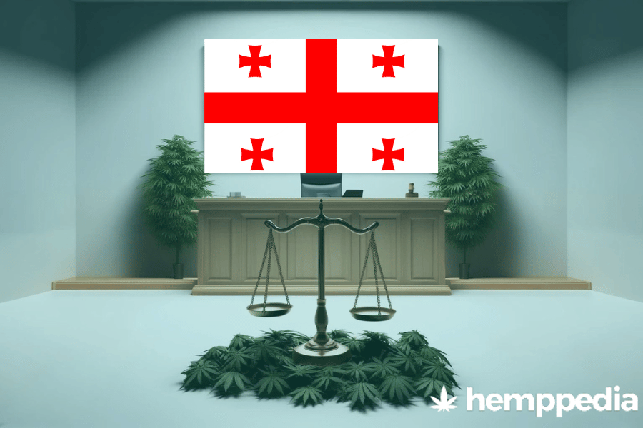 La cannabis è legale in Georgia (paese)? – Update 2024