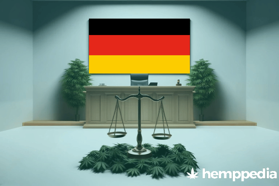 La cannabis è legale in Germania? – Update 2024