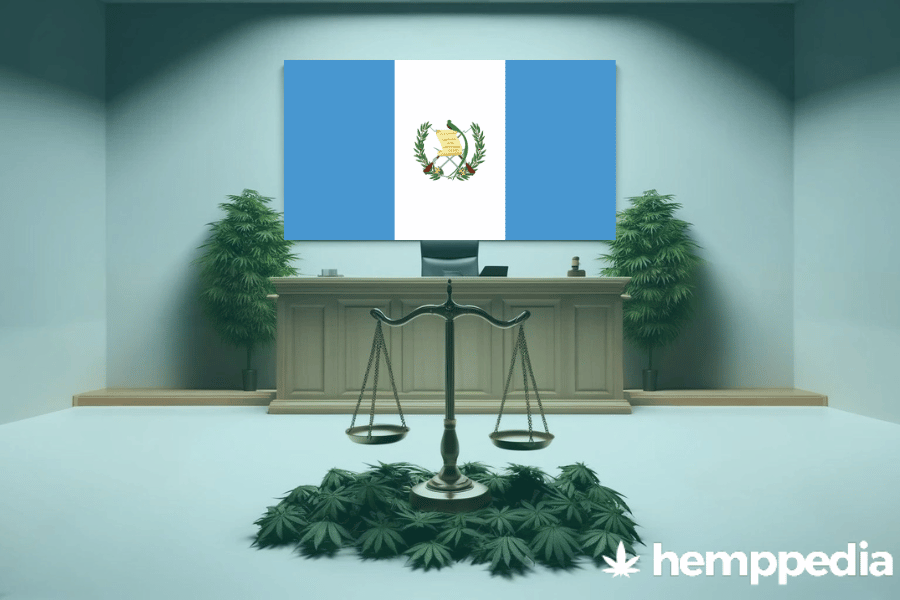 La cannabis è legale in Guatemala? – Update 2024