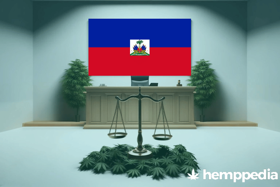 La cannabis è legale ad Haiti? – Update 2024