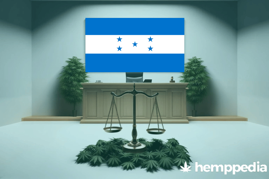 La cannabis è legale in Honduras? – Update 2024