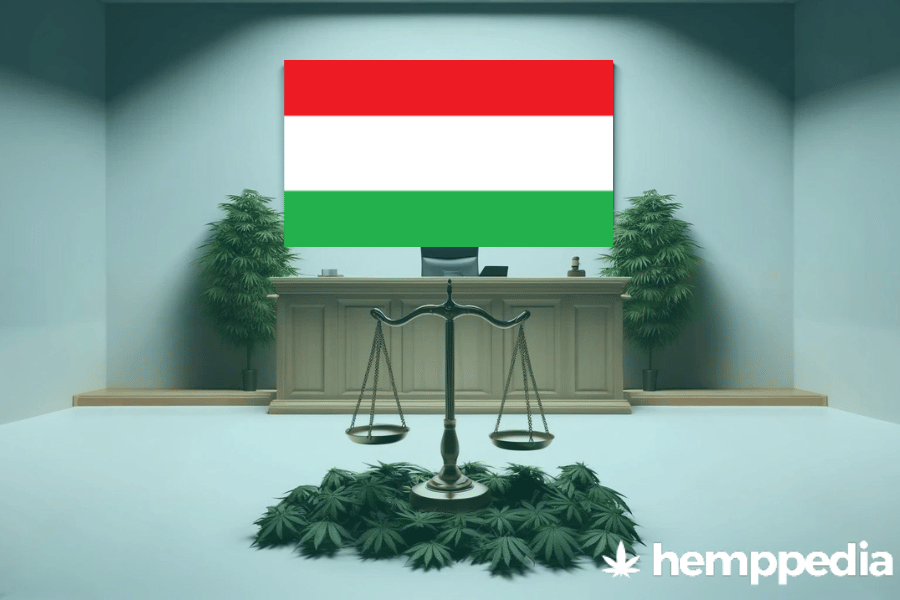 La cannabis è legale in Ungheria? – Update 2024