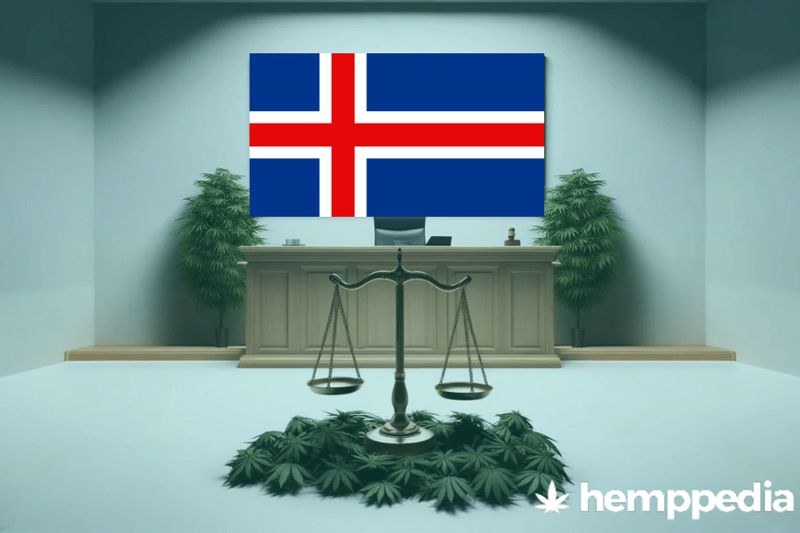 La cannabis è legale in Islanda? – Update 2024