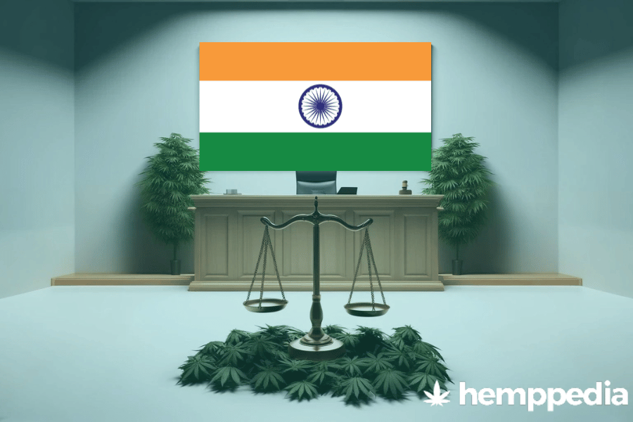 La cannabis è legale in India? – Update 2024