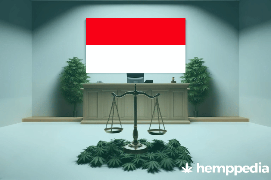 La cannabis è legale in Indonesia? – Update 2024