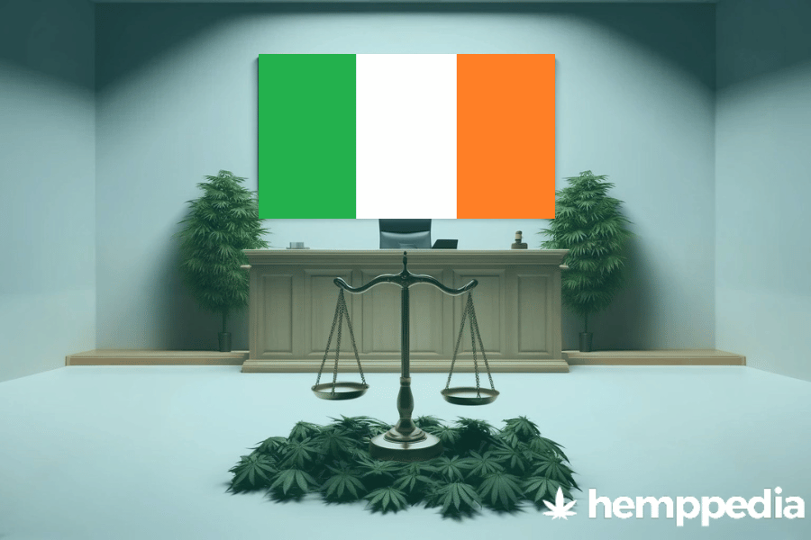 La cannabis è legale in Irlanda? – Update 2024