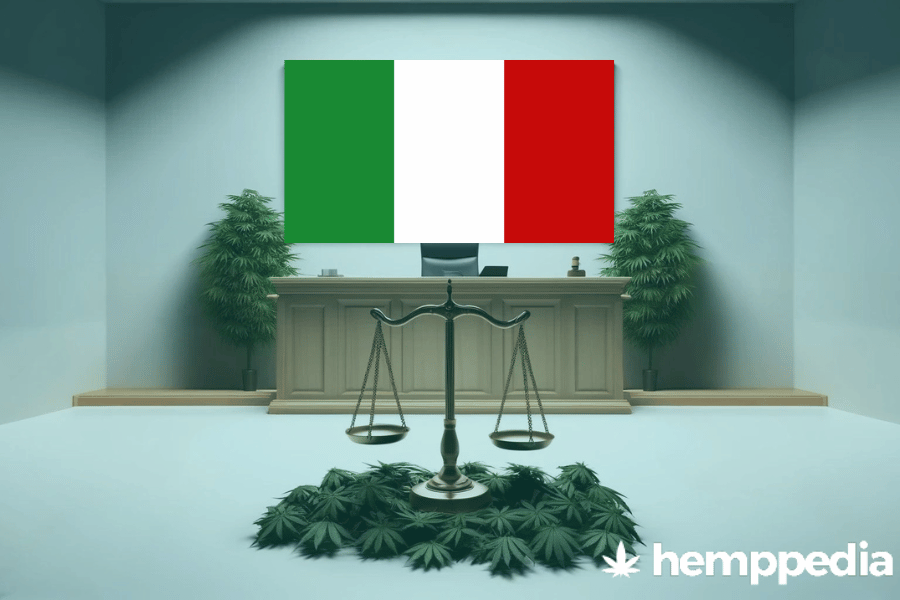 La cannabis è legale in Italia? – Update 2024