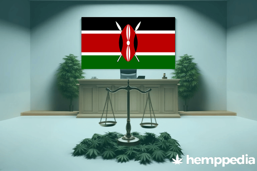 La cannabis è legale in Kenya? – Update 2024