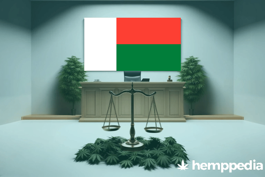 La cannabis è legale in Madagascar? – Update 2024