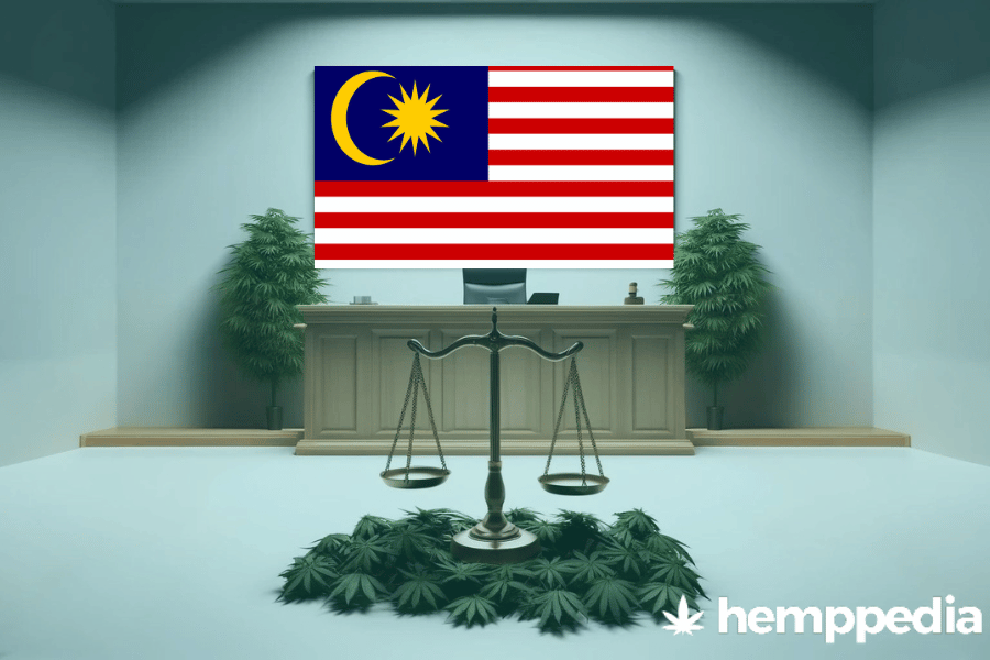 La cannabis è legale in Malesia? – Update 2024