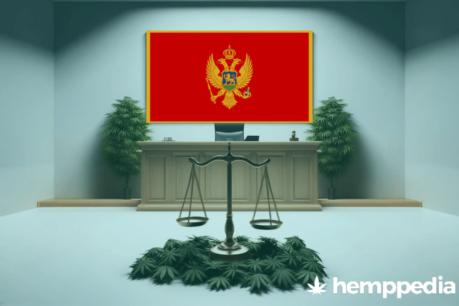 La cannabis è legale in Montenegro? – Update 2024