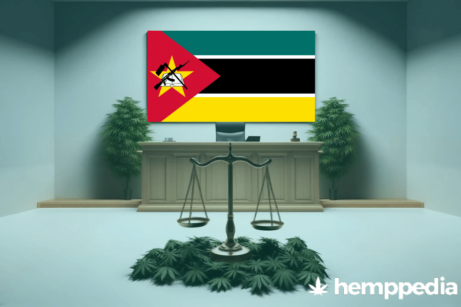 La cannabis è legale in Mozambico? – Update 2024