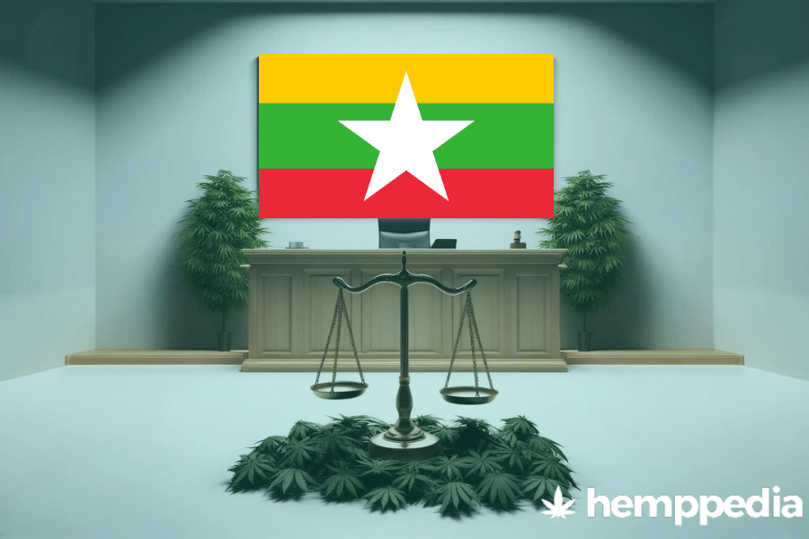 La cannabis è legale in Myanmar? – Update 2024