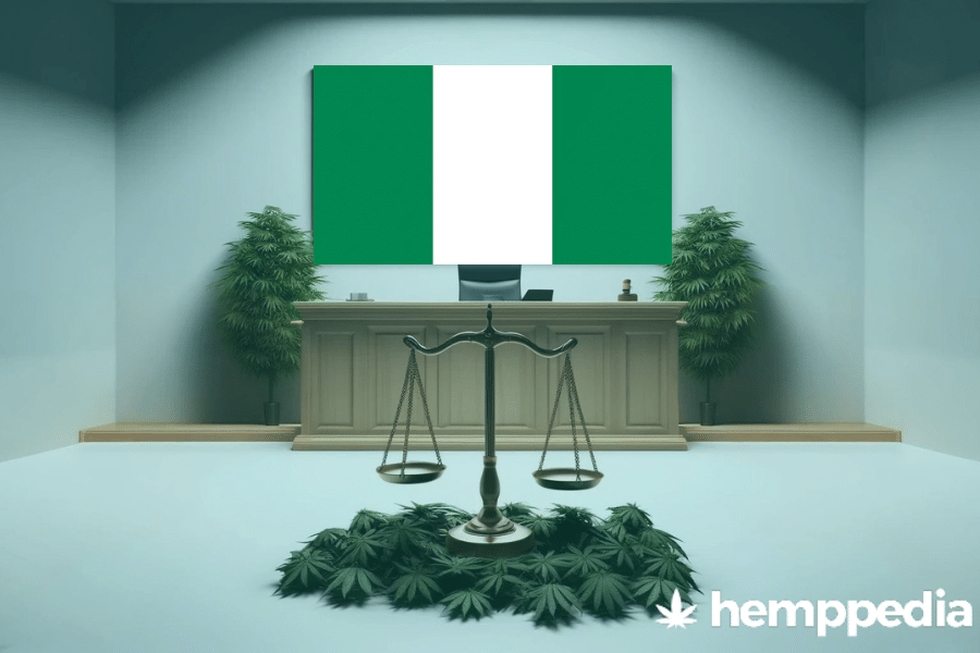 La cannabis è legale in Nigeria? – Update 2024