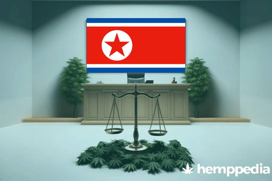 La cannabis è legale in Corea del Nord? – Update 2024