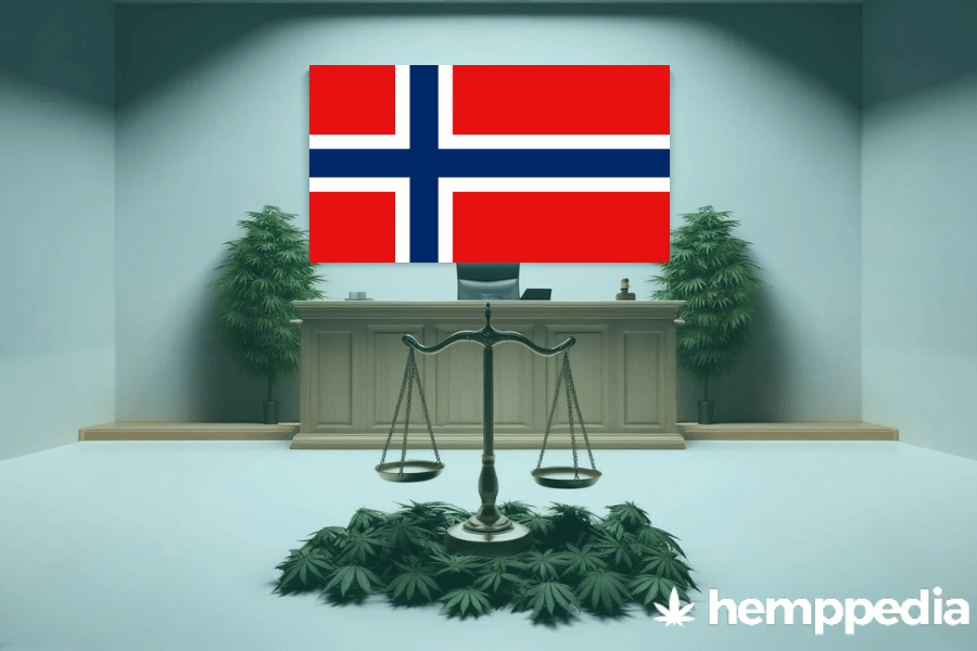 La cannabis è legale in Norvegia? – Update 2024