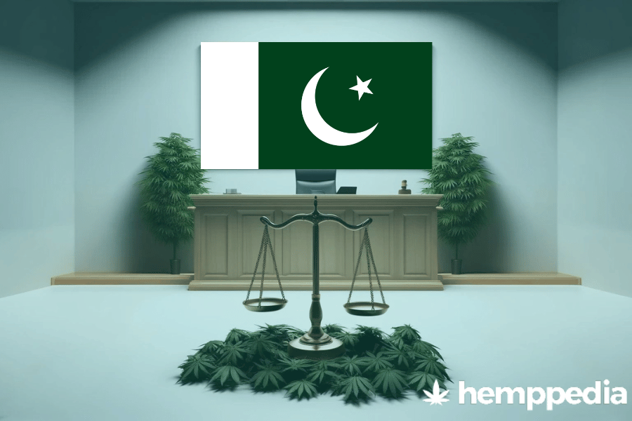 La cannabis è legale in Pakistan? – Update 2024