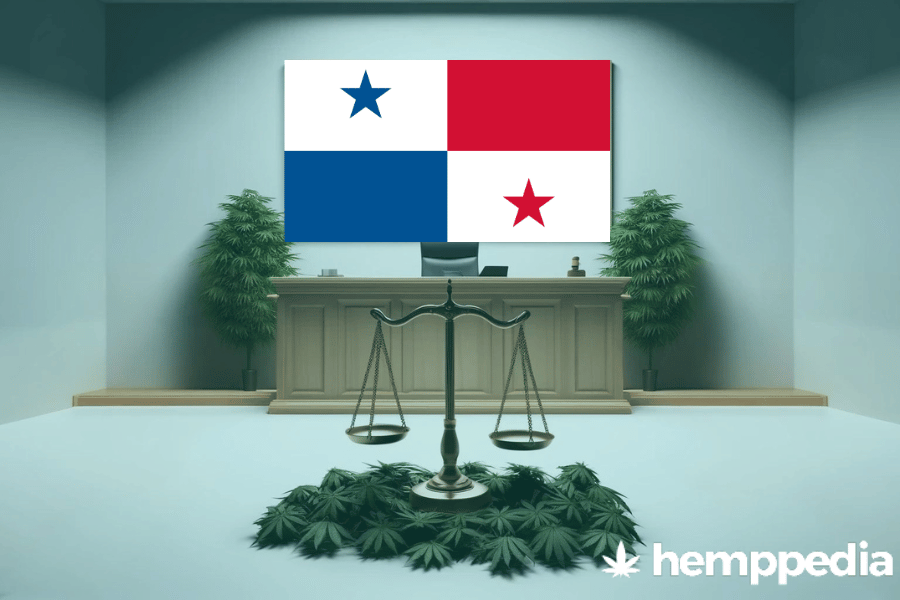 La cannabis è legale a Panama? – Update 2024