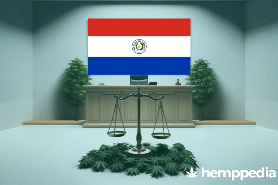 La cannabis è legale in Paraguay? – Update 2024