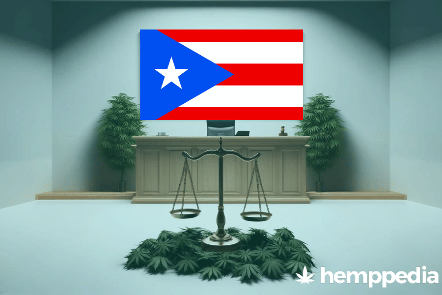 La cannabis è legale a Porto Rico? – Update 2024